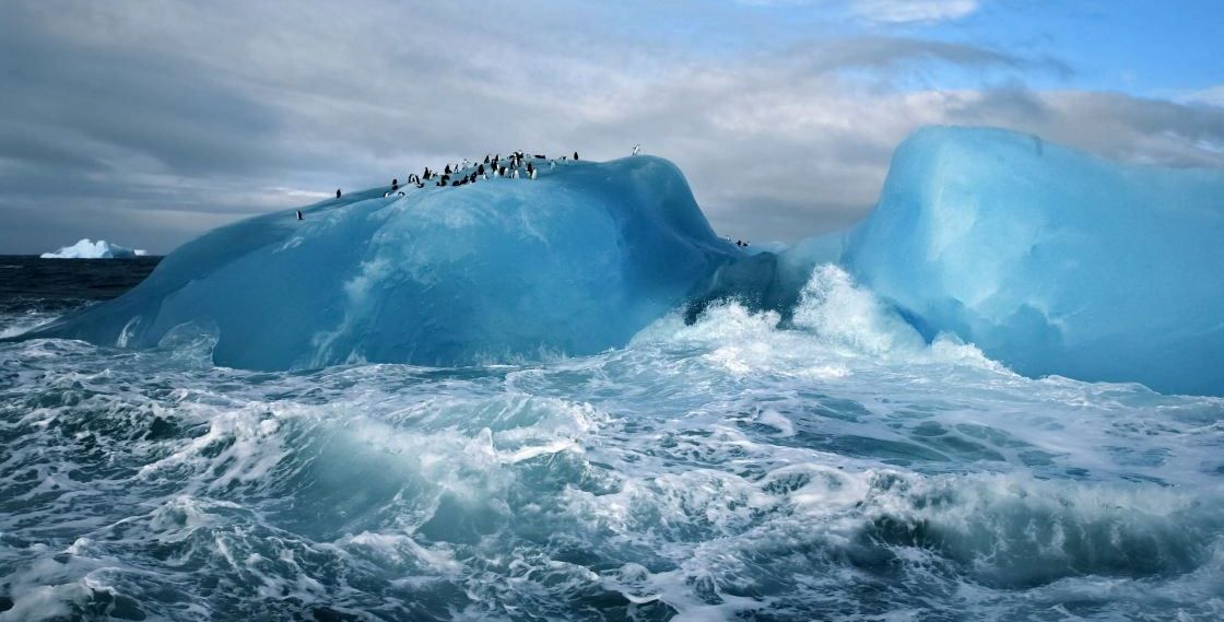 Айсберг, пингвины. Антарктические метки