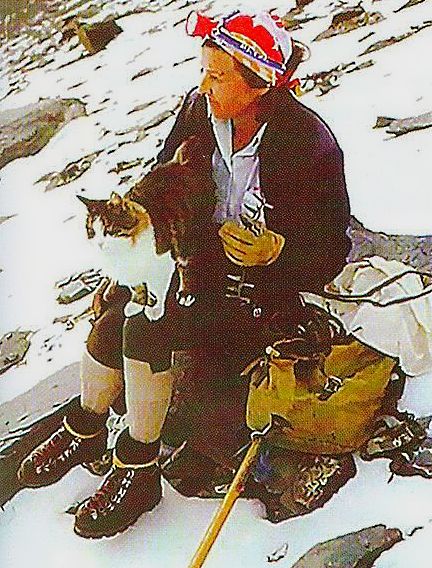 История кота Томбы: как пушистый альпинист работал 