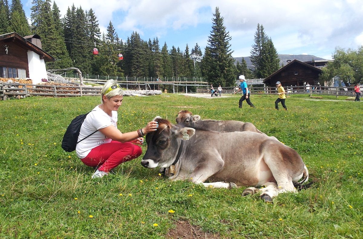 К коровам в Австрии, и конкретно в Тироле, относятся с большой любовью и уважением