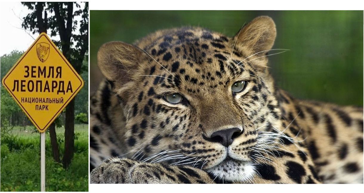 5 апреля 2012 года был создан нацпарк «Земля леопарда»