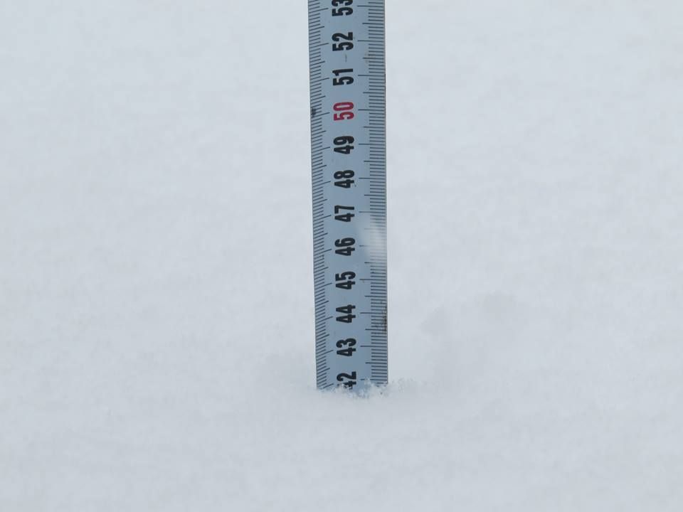 Высота снежного покрова  в верховьях Аргута уже более 40 сантиметров