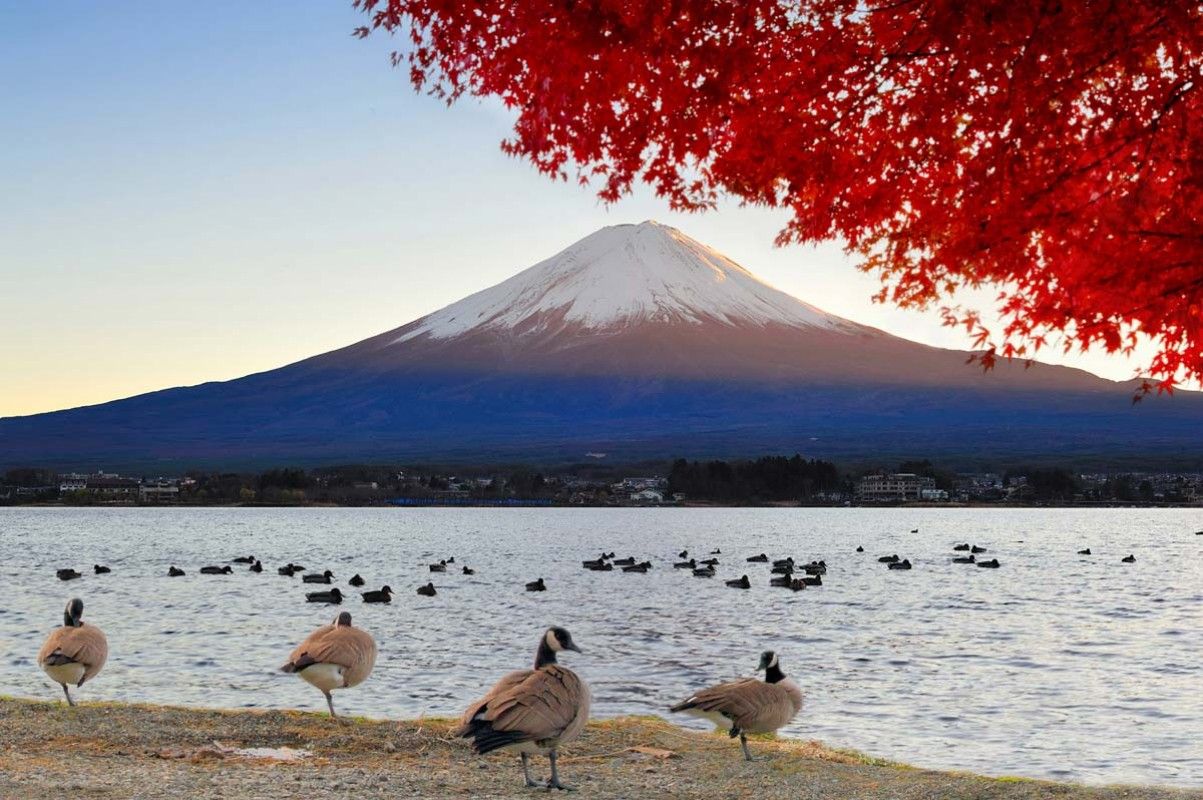 Гора Фудзи - действующий, слабо активный стратовулкан, расположен на острове Хонсю, в 90 километров от Токио, столицы Японии