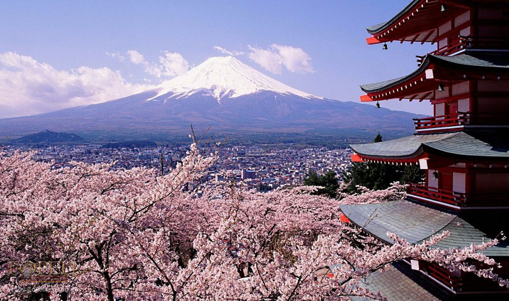 Священную Фудзияму намерены защитить от слишком большого числа туристов