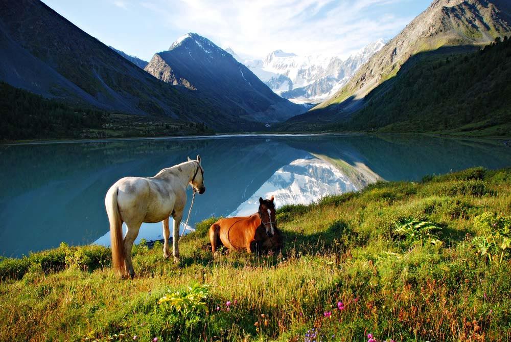 Опасные вещества обнаружили экологи в горных озерах Алтая, Анд и Альп