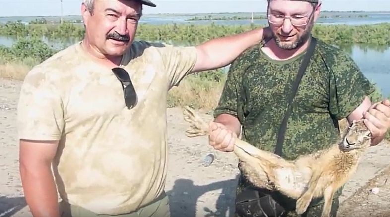 Спецоперацию по спасению зайцев от паводка провели в Дагестане 