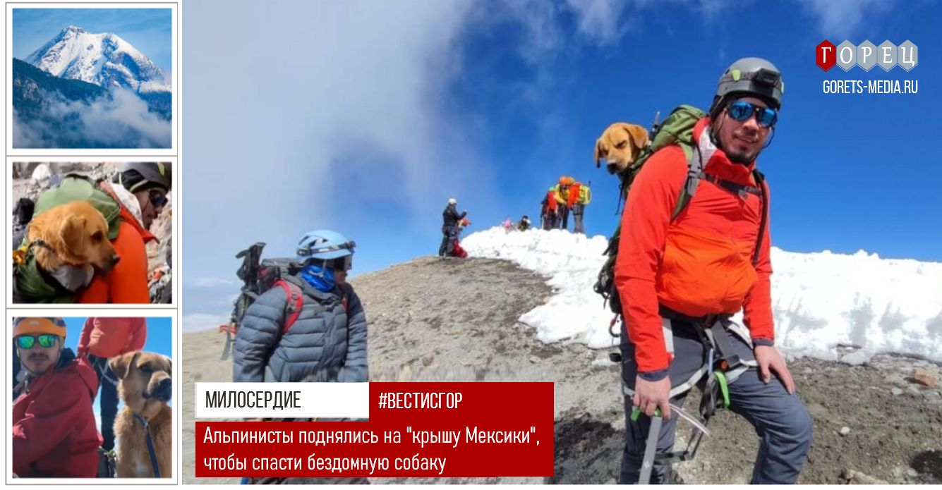 Альпинисты поднялись на вершину вулкана, чтобы спасти собаку
