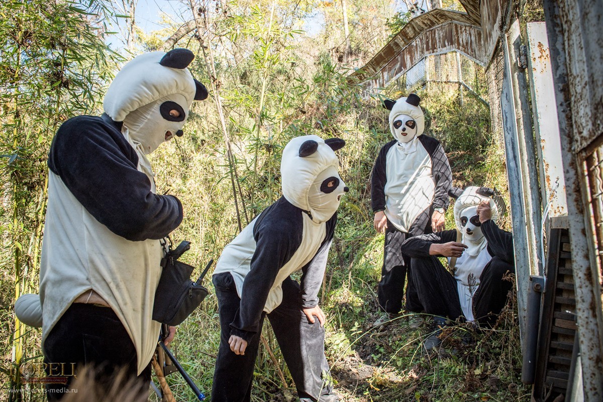 Панд учат быть пандами в горной провинции Сычуань 