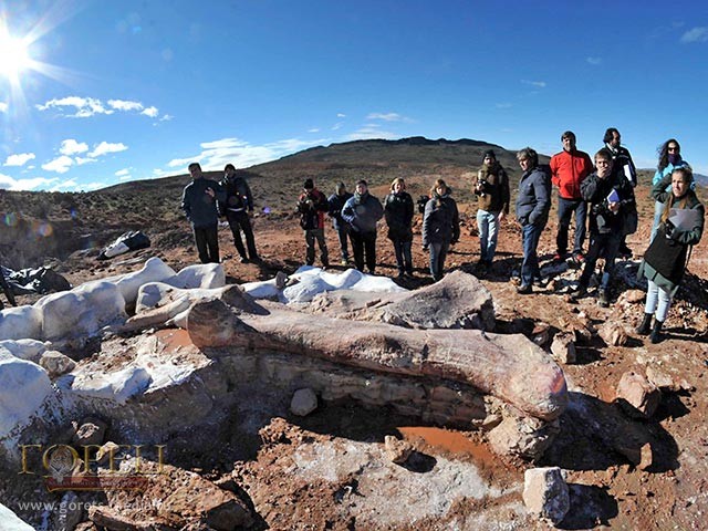 Останки 7 гигантских существ, живших 100 млн лет назад,  найдены в Аргентине