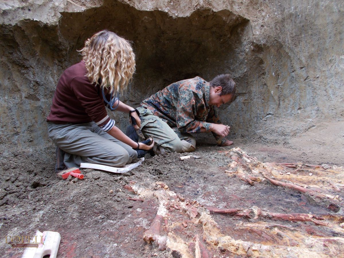 На Кубани найдены останки древних людей-великанов 
