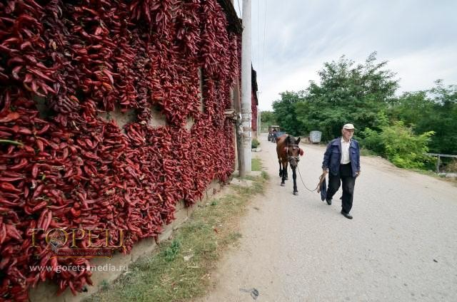 В сербскую деревню Донья-Локошница пришел красный октябрь