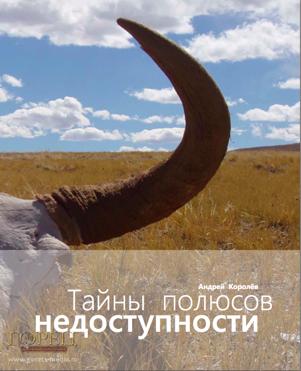 Обложка книги Андрея Королёва «Тайна полюсов недоступности»