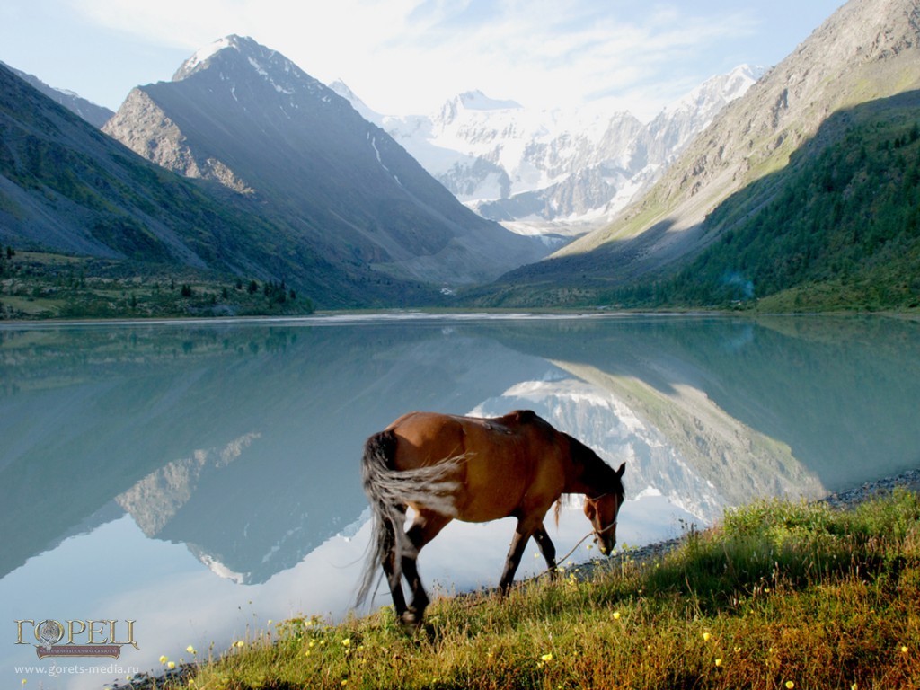 Искушенные туристы называют Горный Алтай Сибирской Швейцарией