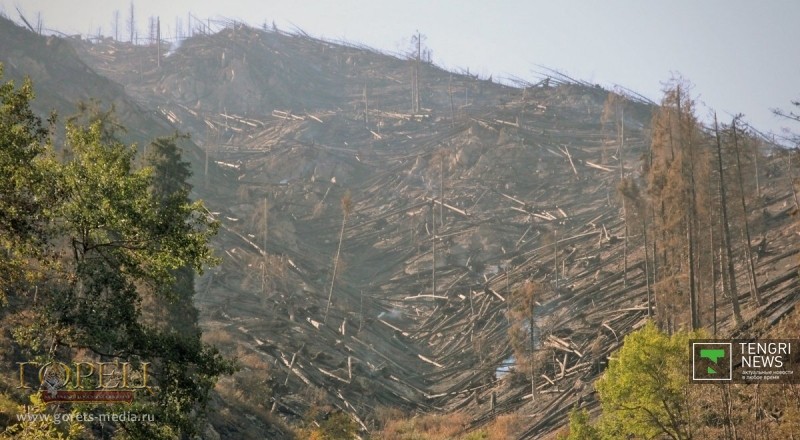 В 2011–1012 годах горы Алматы очень сильно пострадали от пожара и урагана