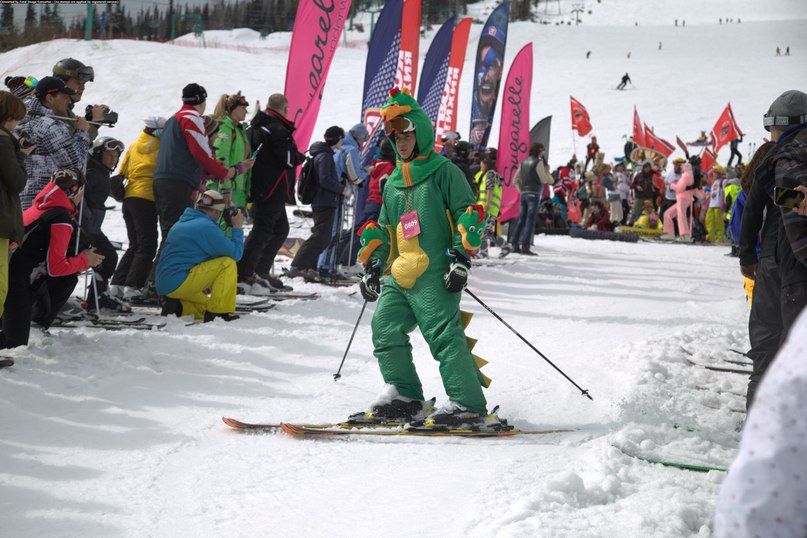 Лыжники спустились с горы в карнавальных костюмах в Шерегеше 