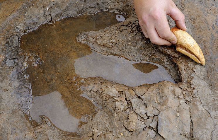 В горах Китая  нашли следы динозавров Юрского периода