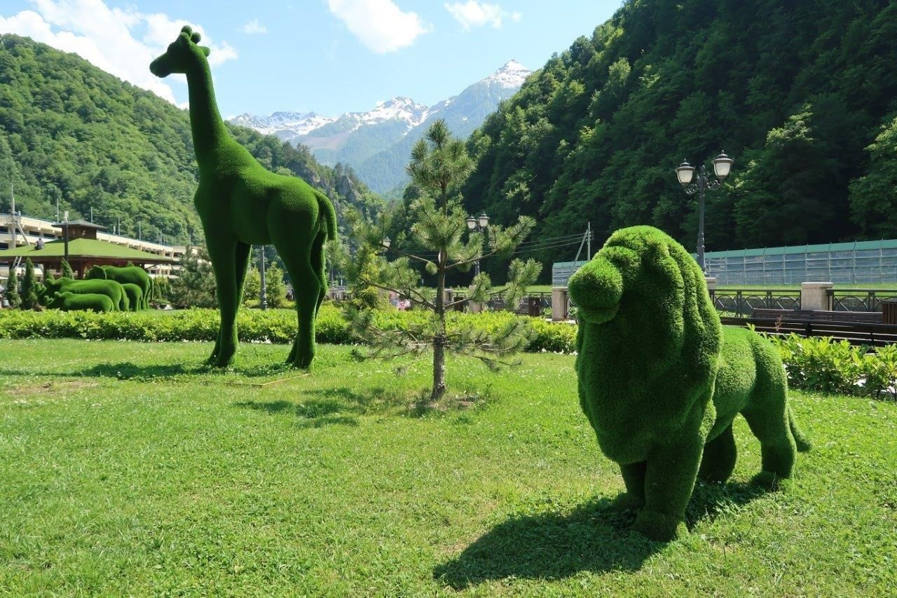 Парк с зелеными фигурами животных появился в Сочи